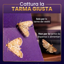 Carica l'immagine nel visualizzatore di Gallery, Trappole per Tarme dei Vestiti (6 Pezzi) | Trappole Adesive a Feromoni per Armadi, Cassetti &amp; Tappeti | Rilevamento Tarm