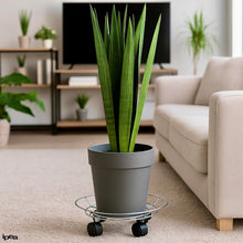 Carica l'immagine nel visualizzatore di Gallery, IPEA Carrello Sottovaso con Ruote per Vasi e Fioriere - 36 cm - Supporto Base Mobile in Metallo per Piante e Fiori per C