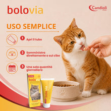 Carica l'immagine nel visualizzatore di Gallery, Bolo Via Pasta 50 g Nuova Formula