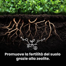 Carica l'immagine nel visualizzatore di Gallery, LERAVA Concime siepe (1,7 kg) - fertilizzante a lenta cessione - crescita rigogliosa - per siepi verdi e dense - ideale 