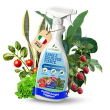 Carica l'immagine nel visualizzatore di Gallery, LERAVA Rame e Zolfo Spray (700 ml) - Fungicida rameico naturale per piante contro Oidio, Peronospora e macchie brune - C