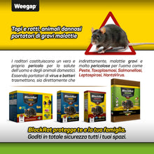 Carica l'immagine nel visualizzatore di Gallery, Trappola Per Topi Grandi e Ratti, 4 Tavolette di Colla Topicida Professionale Ultra Adesive Senza Veleno, Cattura Insett