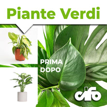 Carica l'immagine nel visualizzatore di Gallery, CIFO - Concime Piante Verdi Liquido, Fertilizzante Casa, Terrazzo e Balcone - Contribuisce alla Crescita e Intensifica l