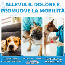 Carica l'immagine nel visualizzatore di Gallery, Tonico Articolazioni per Cani, 100% Naturale per la Cura Delle Articolazioni con Curcuma, Favorisce la Mobilità e la Flessibilità, Integratore per anche e Articolazioni per Cani, Gusto Pancetta, 60 ml