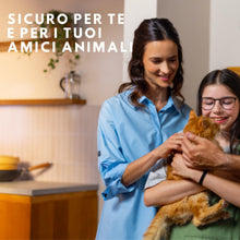 Carica l'immagine nel visualizzatore di Gallery, Raid Essentials Trappola Insetti Volanti Antimosche e Moscerini 2 Ricariche
