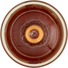 Carica l'immagine nel visualizzatore di Gallery, Paneangeli Estratto di Vaniglia Bourbon di Origine Madagascar, Aroma Alimentare Naturale, Ideale per Torte e Dessert, Pr