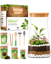 Carica l'immagine nel visualizzatore di Gallery, Kit Terrarium con Vaso in Vetro
