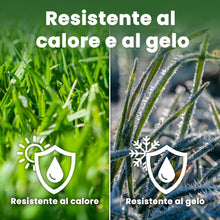Carica l'immagine nel visualizzatore di Gallery, LERAVA® EXPRESS semi prato crescita rapida (30m²) - Semina resistente al calpestio - Sementi per prato soleggiato e mezz