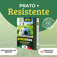 Carica l'immagine nel visualizzatore di Gallery, Albagarden - Semi Prato Resistente Al Calpestio - 40m² - Sementi Erba per Tappeti Erbosi per Aree Gioco - Super Calpesta