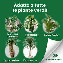 Carica l'immagine nel visualizzatore di Gallery, LERAVA Fertilizzante piante verdi al coperto (800 g) - Fertilizzante biologico con ferro e manganese per fogliame vigoro