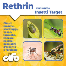 Carica l'immagine nel visualizzatore di Gallery, CIFO Rethrin Multinsetto - Insetticida Formiche Scarafaggi Ragni Vespe e Altri Insetti, Azione Abbattente e Residuale, D