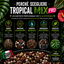 Carica l'immagine nel visualizzatore di Gallery, Clorophilla Tropical Mix PRO - Terriccio Premium per Monstera, Philodendron, Alocasia, Anthurium e Piante Tropicali | Su