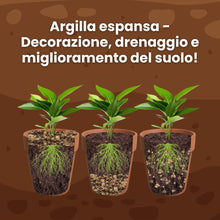 Carica l'immagine nel visualizzatore di Gallery, LERAVA® Argilla Espansa per Piante in Vaso (1L) - Drenante Leggero e Resistente - Argilla per Piante a PH Neutro - Subst