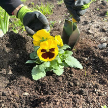 Carica l'immagine nel visualizzatore di Gallery, BIKAIN Kit di Giardinaggio con Sgabello Pieghevole e 5 Attrezzi - KIT3
