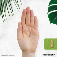 Carica l'immagine nel visualizzatore di Gallery, Magnesio e Ashwagandha KSM-66 Alto Dosaggio - 120 Compresse Vegane