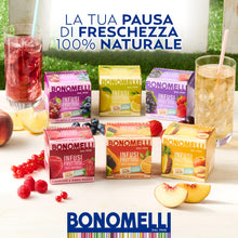 Carica l'immagine nel visualizzatore di Gallery, Bonomelli Infusi Fruttosi, Mela e Limone, Confezione da 12 Filtri, Gusto Unico e Originale, Infusione a Caldo e a Freddo, Ingredienti 100% Naturali (24g)