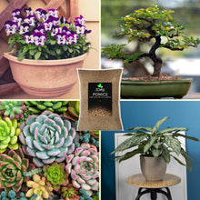 Carica l'immagine nel visualizzatore di Gallery, ZOMA Garden Pomice per Piante, Ideale per Piante Grasse Vere, Bonsai e Orchidee Pietra Inerte per Tutti i Substrati, Alt
