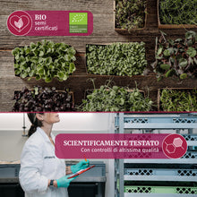Carica l'immagine nel visualizzatore di Gallery, LERAVA® x Profarms - Microgreens Mix [BIO] - set di semi per germogli - 6 varietà di semi di crescione + pannelli in fib