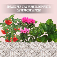 Carica l'immagine nel visualizzatore di Gallery, LERAVA® Perlite per Piante in Vaso (3L) - Drenaggio Ottimale e Radici Sane | Agriperlite Espansa Naturale - Substrato Le