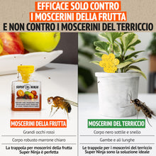 Carica l'immagine nel visualizzatore di Gallery, Super Ninja Trappola per Moscerini della Frutta da Interno, 2 Pezzi