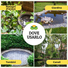 Carica l'immagine nel visualizzatore di Gallery, Albagarden Larvicida Zanzare Pastiglie 40 g, per Giardino Disinfestazione Pozzetti Tombini e Acqua Stagnante, Protezione