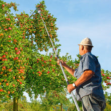 Carica l'immagine nel visualizzatore di Gallery, MaidMAX Raccoglitore di Frutta, 4m Fruit Picker, Raccoglifrutta Arancia Mela Raccoglitrice con Palo in Acciaio Inox Legg