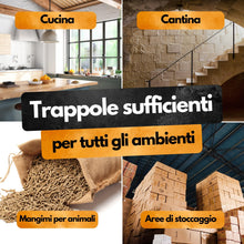 Carica l'immagine nel visualizzatore di Gallery, Trappole per ratti a scatto – Set da 4 – Forza d’impatto 4,5 kg – Durevoli grazie a ABS e metallo – Incl. 1 paio di guan