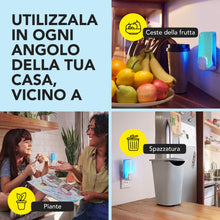 Carica l'immagine nel visualizzatore di Gallery, Raid Essentials Trappola Insetti Volanti Antimosche e Moscerini 2 Ricariche