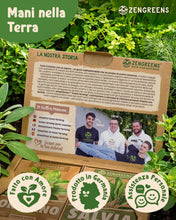 Carica l'immagine nel visualizzatore di Gallery, ZenGreens® Set di Semi di Erbe Aromatiche bio - 12 varietà antiche