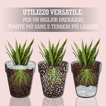 Carica l'immagine nel visualizzatore di Gallery, LERAVA® Perlite per Piante in Vaso (3L) - Drenaggio Ottimale e Radici Sane | Agriperlite Espansa Naturale - Substrato Le