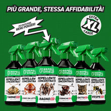 Carica l'immagine nel visualizzatore di Gallery, RepellShield® Spray Ragni e Ragnatele per Porte, Finestre, Battiscopa, Angoli - 250ml - Non Macchia - con Menta Piperita