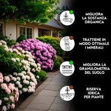 Carica l'immagine nel visualizzatore di Gallery, ZOMA Torba acida di sfagno Ph 3,5 qualità Superiore - Torba per piante estratta dalle torbiere baltiche, Ideale pura o i