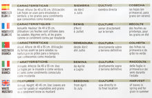 Carica l'immagine nel visualizzatore di Gallery, Battle - Semi Aromatici Senape Bianca (Semi - 40-55Cm)
