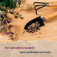 Carica l'immagine nel visualizzatore di Gallery, Magic Garden Seeds Set regalo di semi bio Piante tintorie, 4 varietà