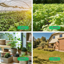 Carica l'immagine nel visualizzatore di Gallery, THIRDREALITY Smart Soil Moisture Sensor Gen2, Zigbee hub Needed, Enhanced Signal Stability, Capacitive Moisture Monitori