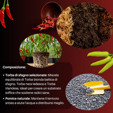 Carica l'immagine nel visualizzatore di Gallery, GebEarth® | Terriccio Professionale per Peperoncini da 5 Litri | Substrato per Semina e Coltivazione, per Tutte Le varie