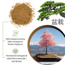 Carica l'immagine nel visualizzatore di Gallery, GebEarth® - Akadama Giapponese Professionale per Bonsai 2-5mm da 1L【Equilibrio Perfetto di Acqua, Aria &amp; Minerali】