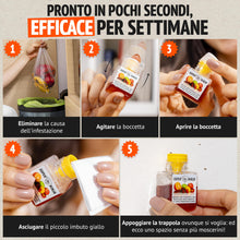 Carica l'immagine nel visualizzatore di Gallery, Super Ninja Trappola per Moscerini della Frutta da Interno, 4 Pezzi