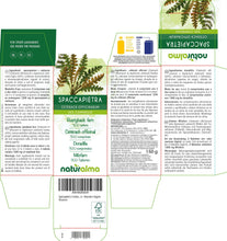 Carica l'immagine nel visualizzatore di Gallery, Spaccapietra o Cedracca (Ceterach officinarum o Asplenium ceterach) foglie Naturalma - 150 g - 300 compresse - Integrato