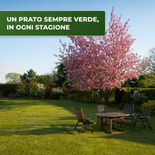 Carica l'immagine nel visualizzatore di Gallery, R&amp;R SHOP - Semi per Prato, Festuca Arundinacea, Resistente e Duratura (500gr - 20Mq)