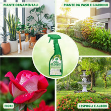 Carica l'immagine nel visualizzatore di Gallery, Gardemia Olio di Neem Spray per Piante 750ml Pronto Uso Azione Naturale contro varie Avversità Giardino Casa Multiuso Es