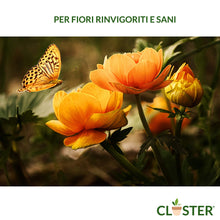 Carica l'immagine nel visualizzatore di Gallery, CLOSTER Microelementi 250 ML - Concime Liquido Universale e Fertilizzante Piante - rimedio naturale contro le Carenze di