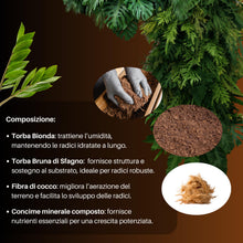 Carica l'immagine nel visualizzatore di Gallery, GebEarth® | Terriccio Universale Protein Base | Nutrimento Prolungato e Sostegno Avanzato per Crescita Sana | Ideale per