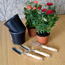 Carica l'immagine nel visualizzatore di Gallery, Spear &amp; Jackson POTTING3PS Set di attrezzi per invasatura in acciaio inossidabile da 3 pezzi