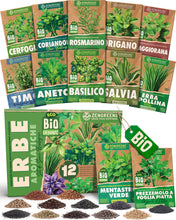 Carica l'immagine nel visualizzatore di Gallery, ZenGreens® Set di Semi di Erbe Aromatiche bio - 12 varietà antiche