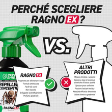 Carica l'immagine nel visualizzatore di Gallery, RepellShield® Spray Ragni e Ragnatele per Porte, Finestre, Battiscopa, Angoli - 250ml - Non Macchia - con Menta Piperita