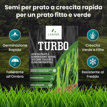 Carica l'immagine nel visualizzatore di Gallery, LERAVA TURBO Semi Loietto Perenne (30 m²) - Semi prato a Crescita Rapida - Fine Tessitura - Sementi per Prato Resistente