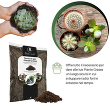 Carica l'immagine nel visualizzatore di Gallery, GebEarth® - Terriccio Professionale per Piante Grasse e Succulente da 1 Litro【 Substrato ideale per Cactacee e altre Pia