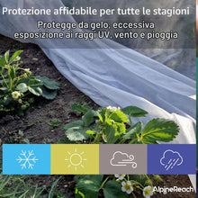 Carica l'immagine nel visualizzatore di Gallery, AlpineReach Telo Protettivo antigelo per Piante, 3 x 9 m, in Tessuto per Proteggere dal Freddo Invernale, Adatto per Gia