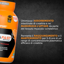 Carica l'immagine nel visualizzatore di Gallery, NAMEDSPORT CREAFAST 120 Compresse Gastroresistenti Bifasiche | Creatina Monoidrato 3 g Per Dose | Sviluppo Massa Muscola